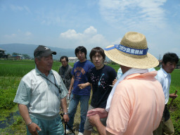 後方に比良山系