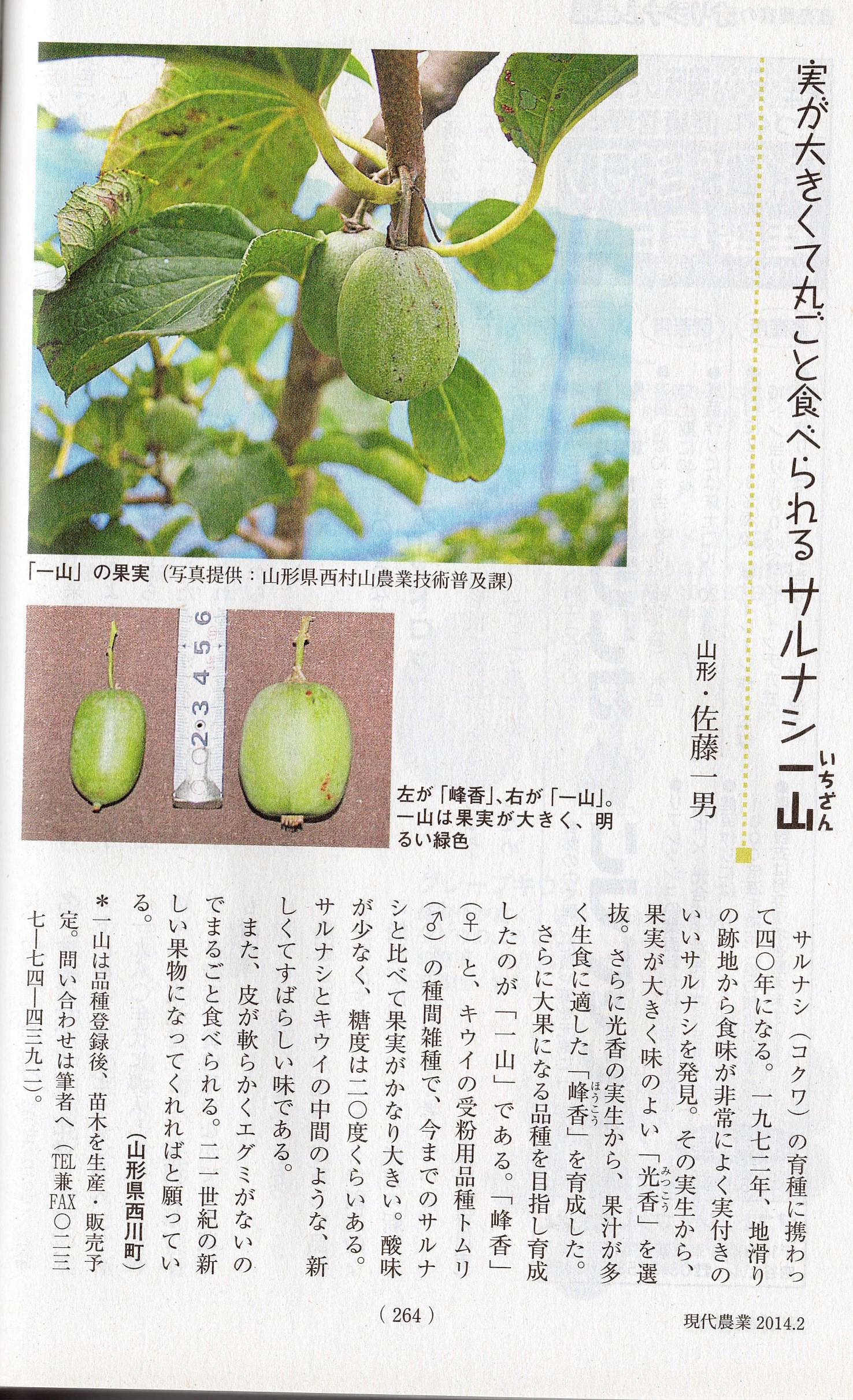 現代農業で紹介