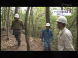 TV画面
