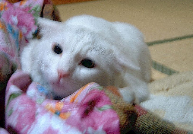 img0005.jpg