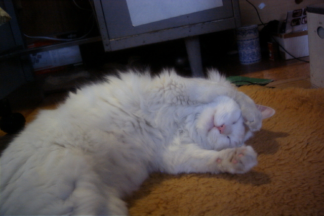 img0016.jpg