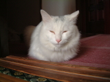 img0001.jpg