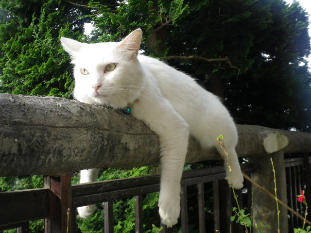 img0006.jpg