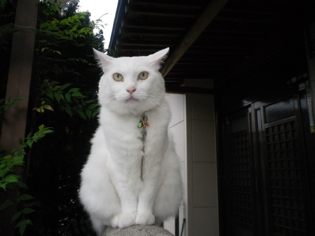 img0007.jpg