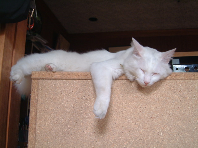 img0008.jpg
