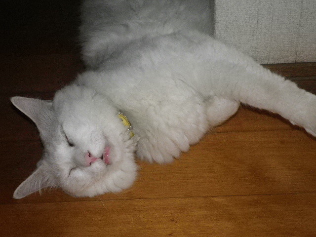 img0014.jpg