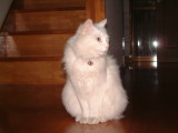 img0001.jpg