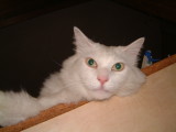 img0002.jpg