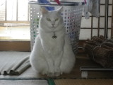 img0003.jpg