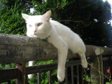 img0006.jpg