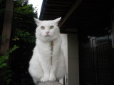 img0007.jpg