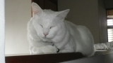 img0013.jpg