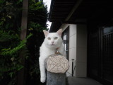 img0015.jpg