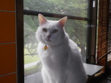 img0016.jpg