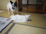 img0017.jpg