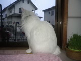 img0019.jpg