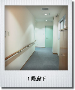 1階廊下