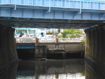 滝の川の合流点