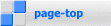  page-top 