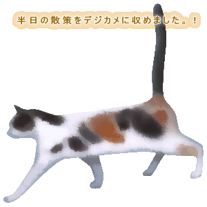 oi[