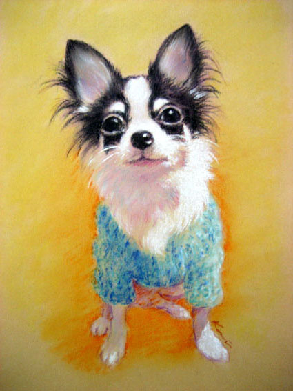 ����G�E�F���J���{�[�h�A�ё����portrait studio Nash/�y�b�g�ё���
