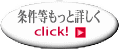 条件等もっと詳しく