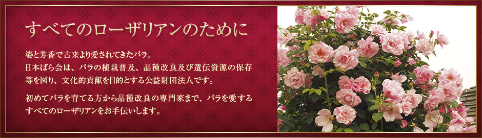 ���ׂẴ��[�U���A���̂��߂�