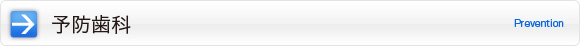 予防歯科|Prebention