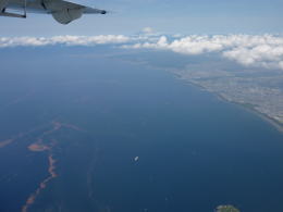 江の島付近の赤潮