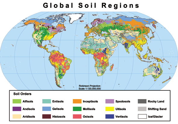 global-soilmap