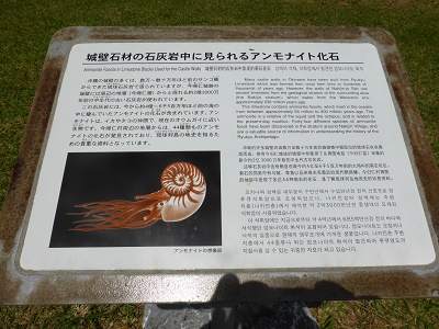Am