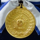 技能グランプリ金メダル
