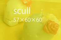 scal-2.jpg