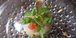 料理写真