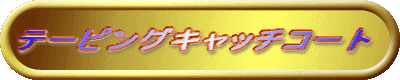 �e�[�s���O�L���b�`�R�[�g