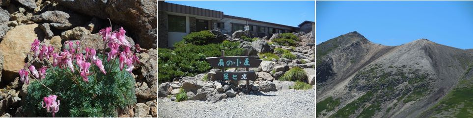 2016.08.10norikuradake3