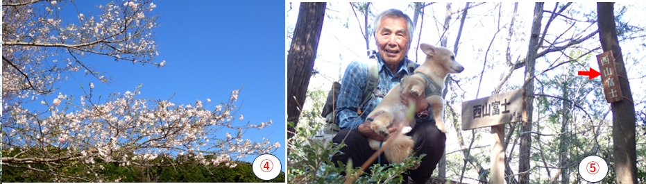 2025.04.04ootakatoriyama2