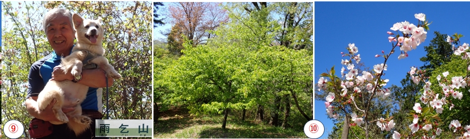 2025.04.16amagoiyama5