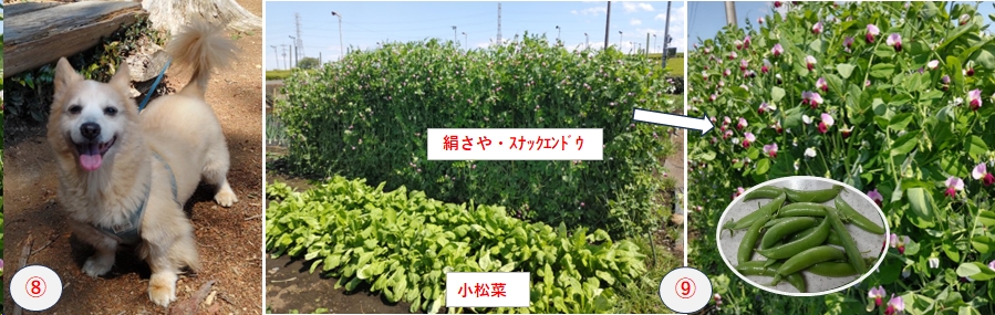 2025.04.29ootakatoriyama4