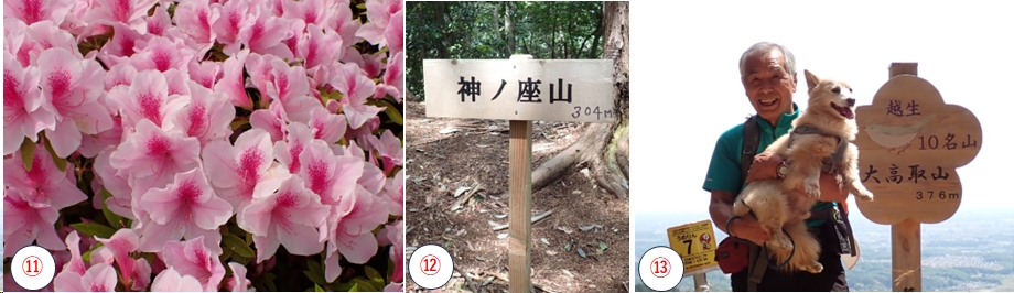 2025.05.05koubouyama4