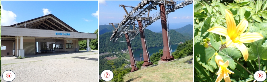 2025.06.29harunafuji3