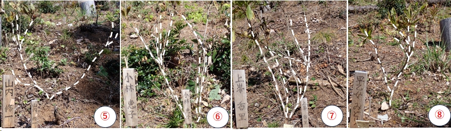 2025.11.04ootakatoriyama2