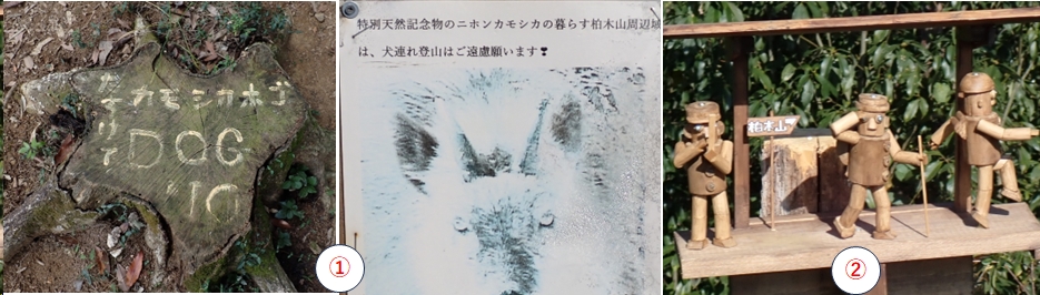 2025.11.04ootakatoriyama4