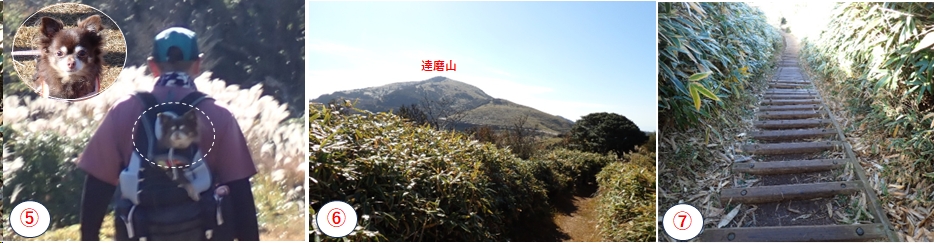 2025.11.16kinkanzan3