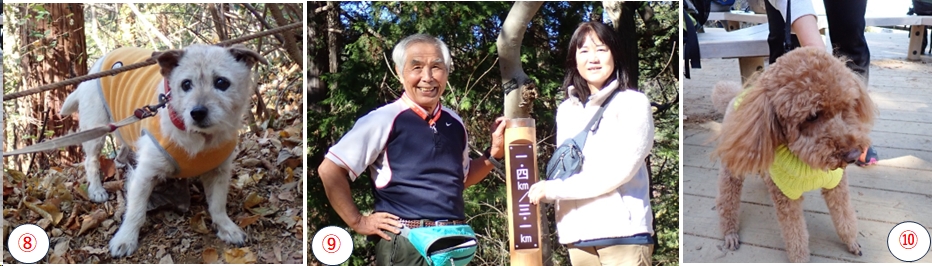 2025.12.07shiroyama41