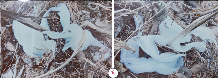 2025.12.07shiroyama6