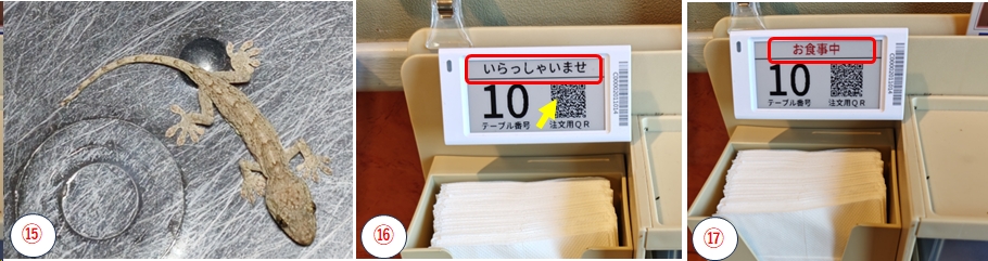 2025.12.07shiroyama7