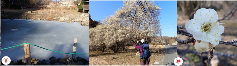 2026.02.15kashiwagiyama4