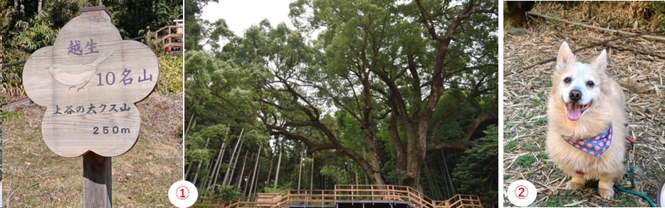 2026.03.14ookusuyama1