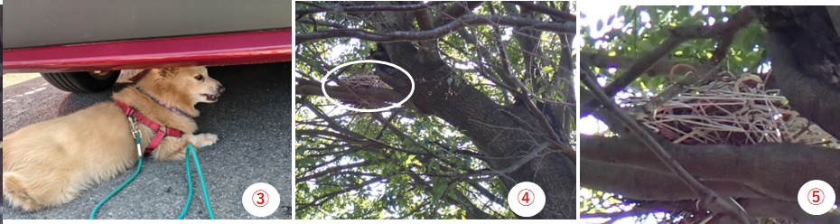 2026.03.14ookusuyama2